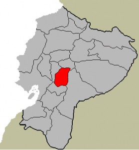 cartechimbo22